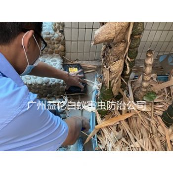 中新镇白蚁危害防治工程