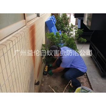 石滩投放灭鼠装置工程