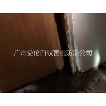 中新白蚁危害防治工程