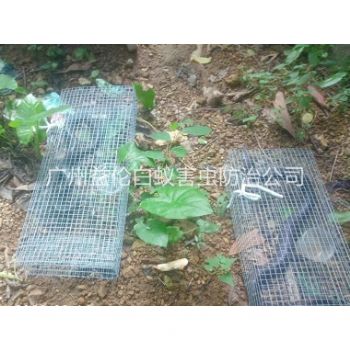 福和上门驱蛇防蛇工程