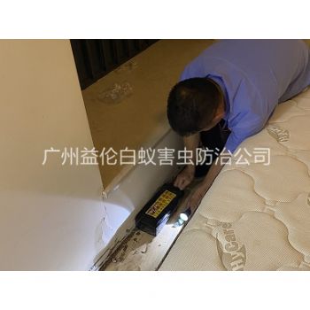 广州家居白蚁灭治工程