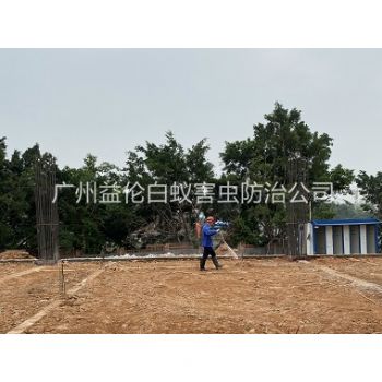 新塘地基新建预防白蚁工程