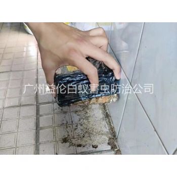 仙村诱杀白蚁危害工程