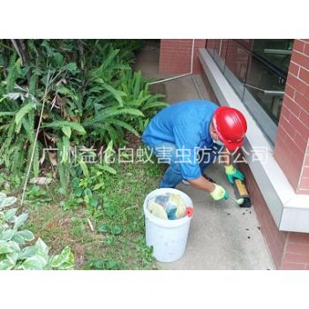 派潭施药灭鼠工程