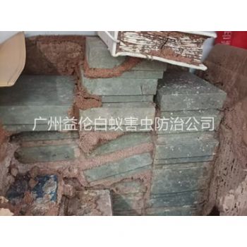 增城防治白蚁危害工程