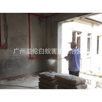 沙埔装修预防白蚁工程