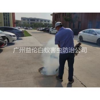 仙村登革热防控消杀工程